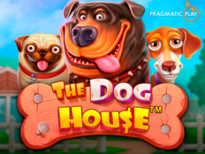 Rüyada köpeği yaralamak. Best wa casino sites.95